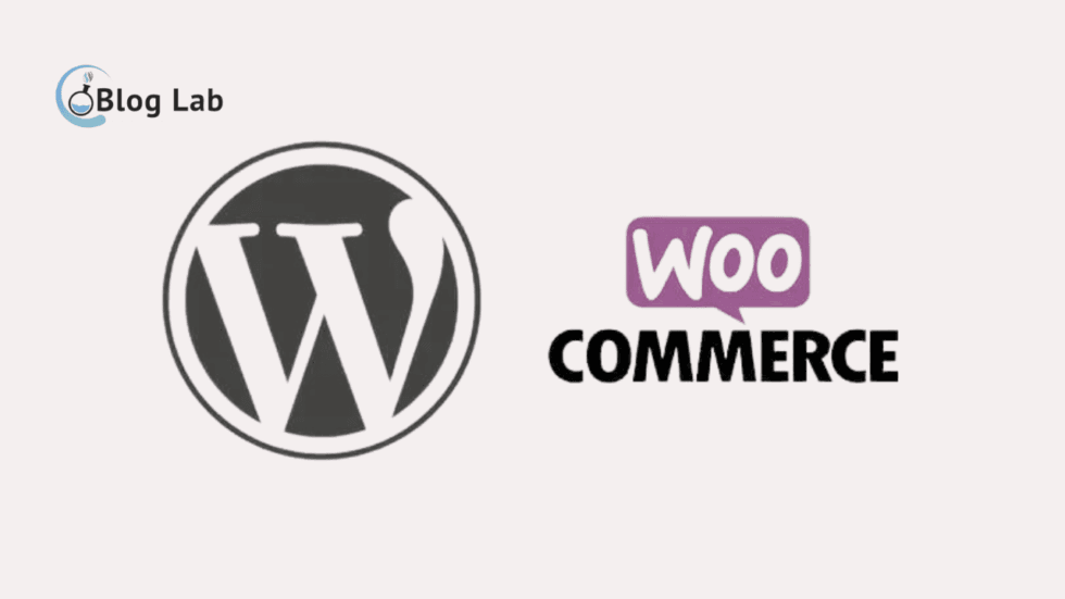 Apa Itu Plugin Woocommerce Fungsi Cara Kerja Kelebihan Dan Kekurangannya