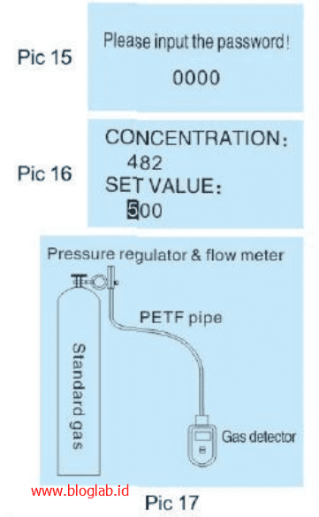 SKY2000 Gas Detector