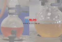 Penjelasan Esterifikasi Dalam Kimia