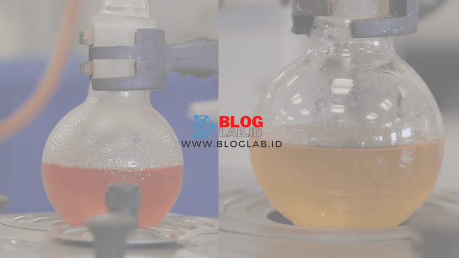 Penjelasan Esterifikasi Dalam Kimia