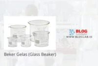 Beker Gelas (Glass Beaker)