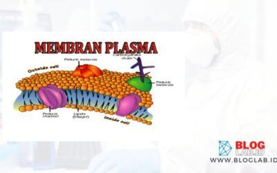 Definisi Membran Plasma