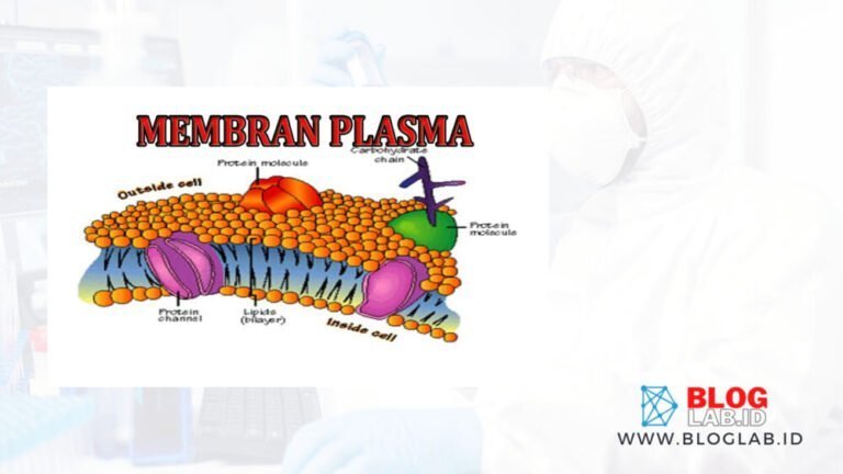 Definisi Membran Plasma