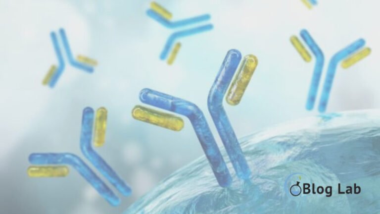 Optimasi Proses Immunoassay untuk Hasil Akurat