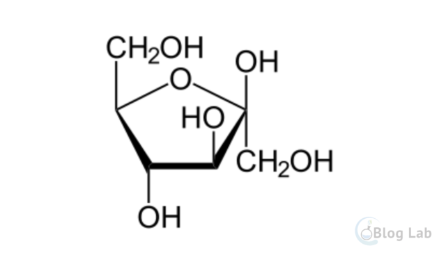 Fruktosa