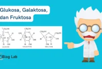 Glukosa, Galaktosa, dan Fruktosa
