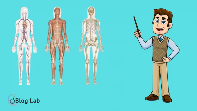 Pengertian Anatomi dan Fisiologi Tubuh Manusia 1 Pengertian Anatomi dan Fisiologi Tubuh Manusia