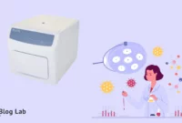 Real-time PCR
