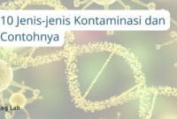 10 Jenis-jenis Kontaminasi dan Contohnya