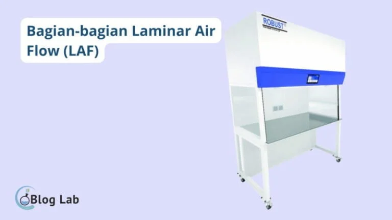 bagian-bagian LAF