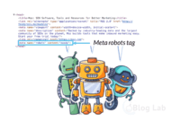 Meta Robots Tag Pengertian, Fungsi, dan Cara Setting