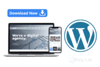 Download Template WordPress SEO Friendly Gratis