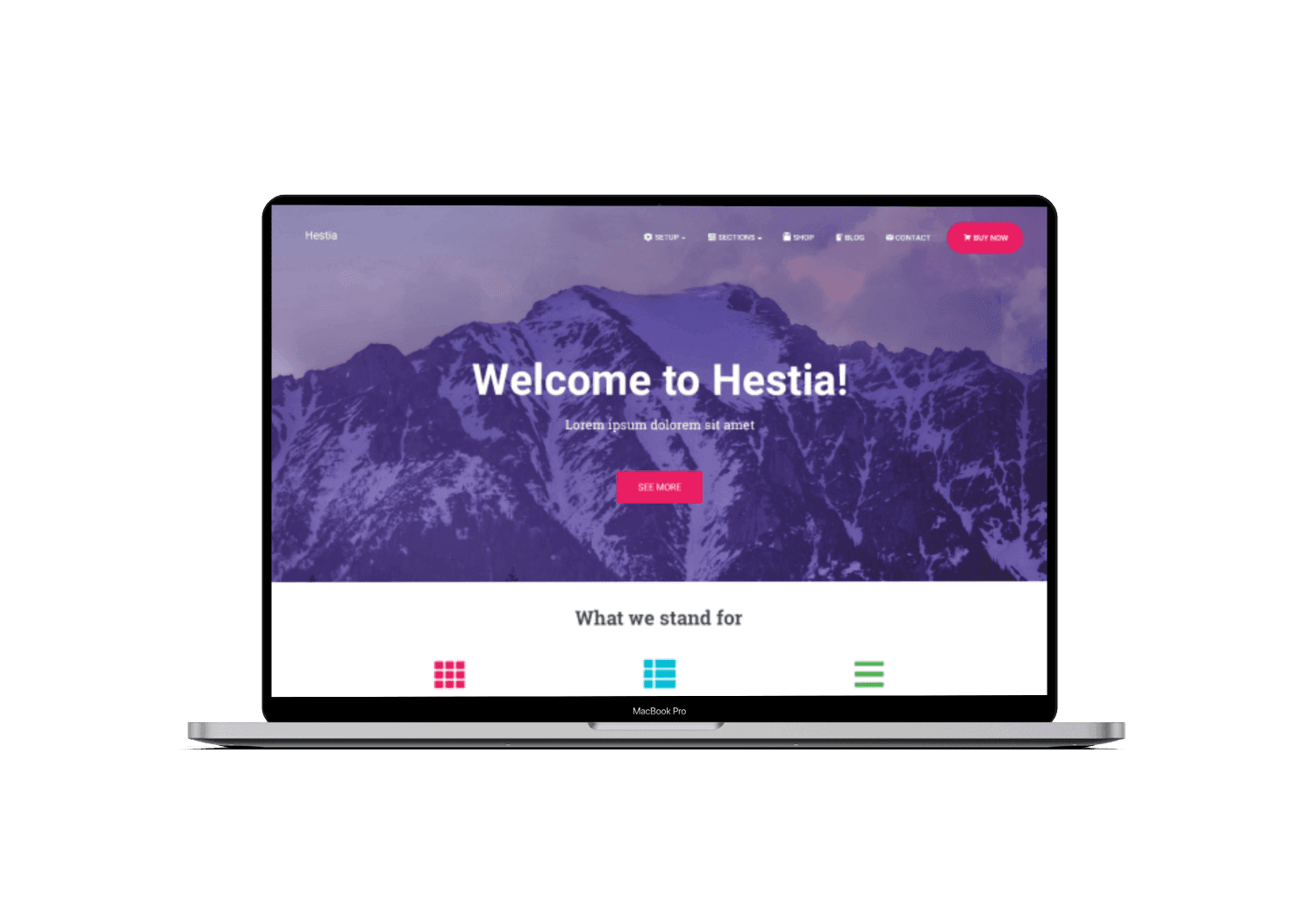 Gambar template WordPress SEO friendly Hestia gratis