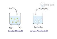 Contoh Larutan Elektrolit dan Nonelektrolit