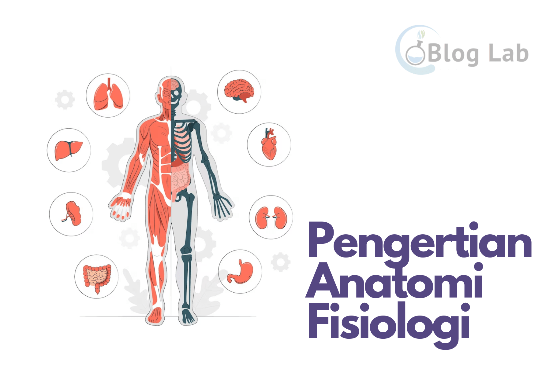 Pengertian Anatomi Fisiologi
