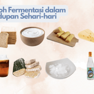 10+ Contoh Fermentasi dalam Kehidupan Sehari-hari