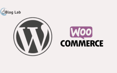 Apa itu Plugin WooCommerce? Fungsi, Cara Kerja, Kelebihan dan Kekurangannya