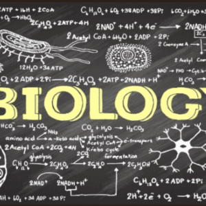 Daftar Cabang Biologi dan Penjelasannya