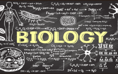 Daftar Cabang Biologi dan Penjelasannya