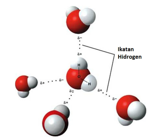 Struktur dan Ikatan Kimia dalam Air